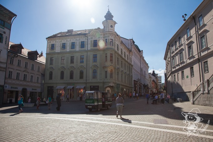 Majo Photograph Majo Photograph