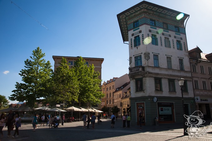 Majo Photograph Majo Photograph