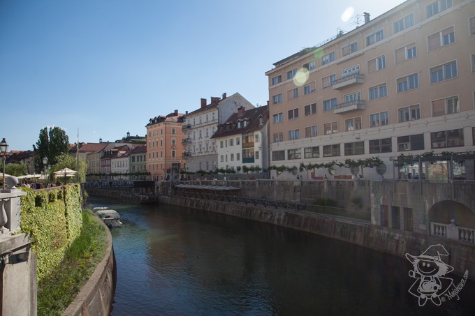 Majo Photograph Majo Photograph