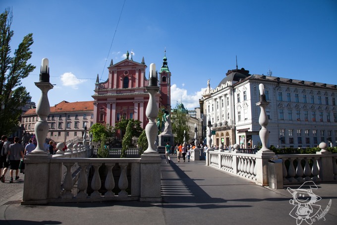 Majo Photograph Majo Photograph