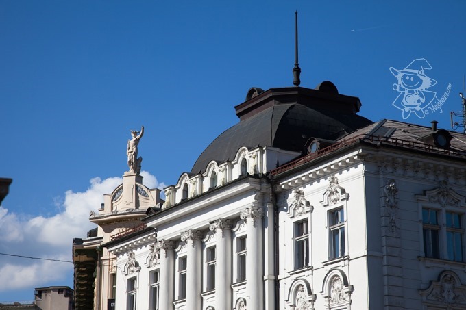 Majo Photograph Majo Photograph