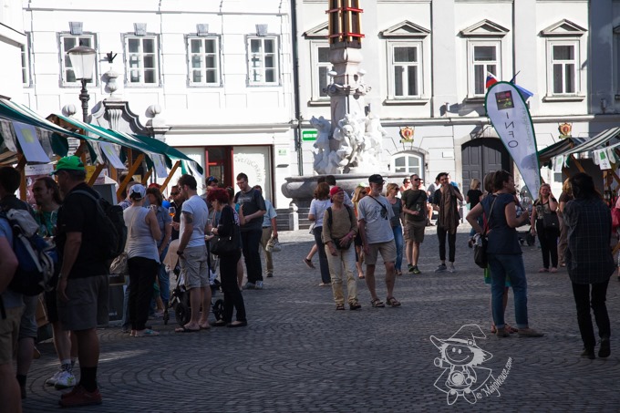 Majo Photograph Majo Photograph