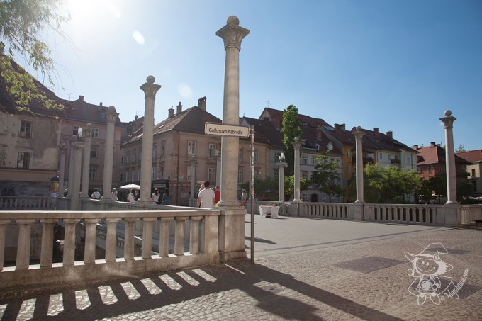 Majo Photograph Majo Photograph