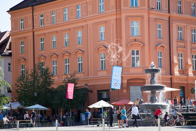 Majo Photograph Majo Photograph