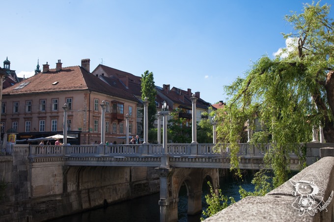 Majo Photograph Majo Photograph