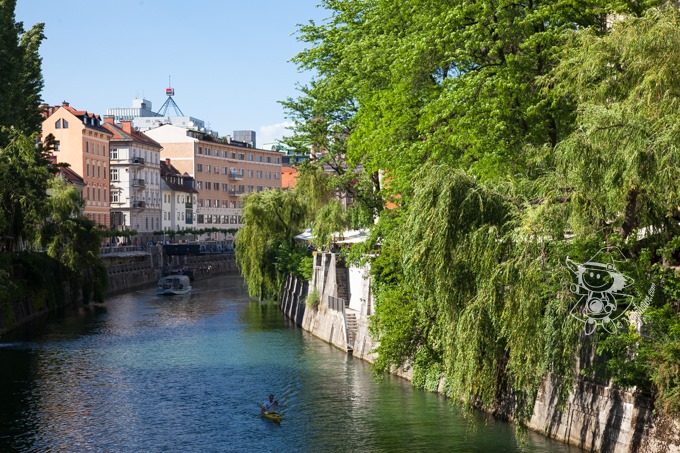 Majo Photograph Majo Photograph