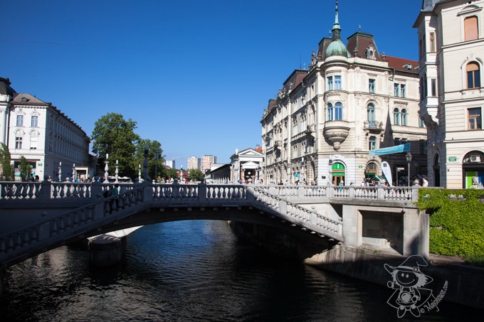 Majo Photograph Majo Photograph