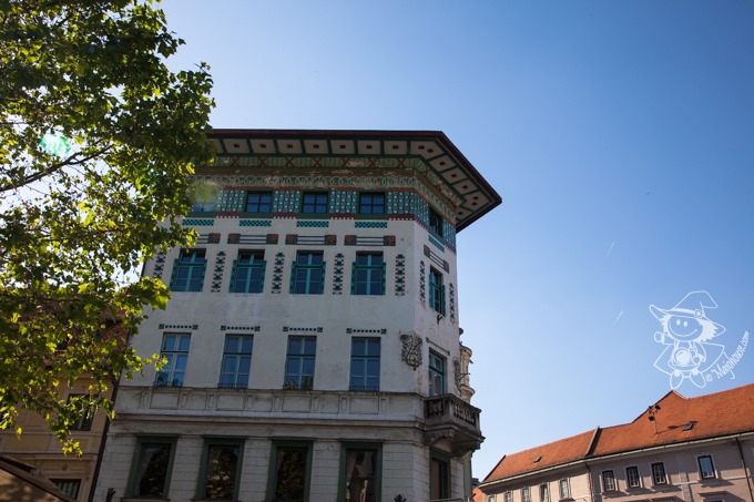 Majo Photograph Majo Photograph