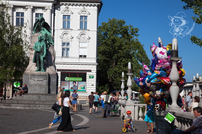 Majo Photograph Majo Photograph