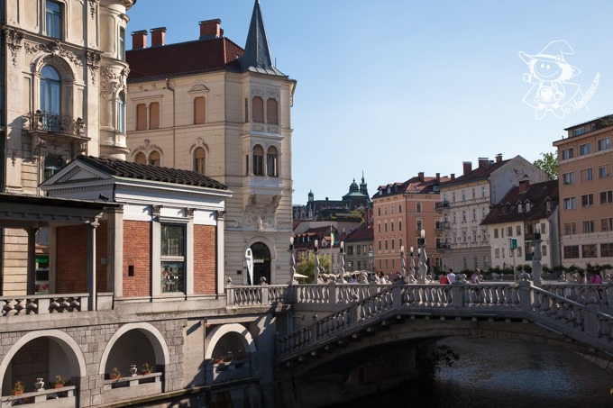 Majo Photograph Majo Photograph