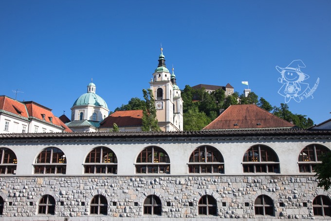 Majo Photograph Majo Photograph