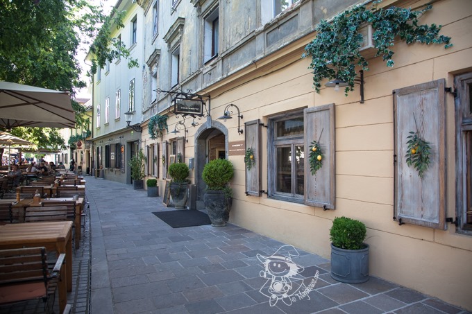 Majo Photograph Majo Photograph