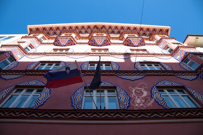 Majo Photograph Majo Photograph