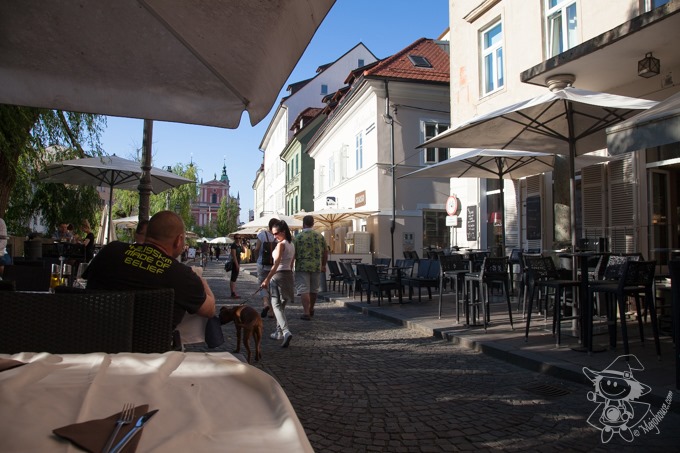 Majo Photograph Majo Photograph