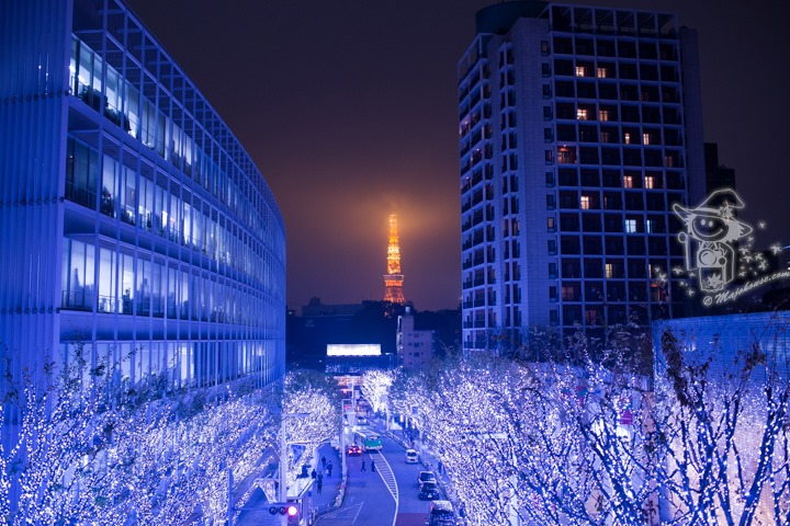 Majo Photograph Majo Photograph