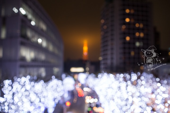 Majo Photograph Majo Photograph