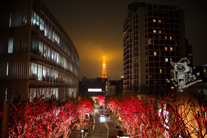 Majo Photograph Majo Photograph