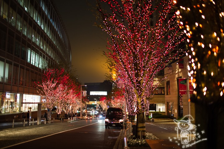 Majo Photograph Majo Photograph