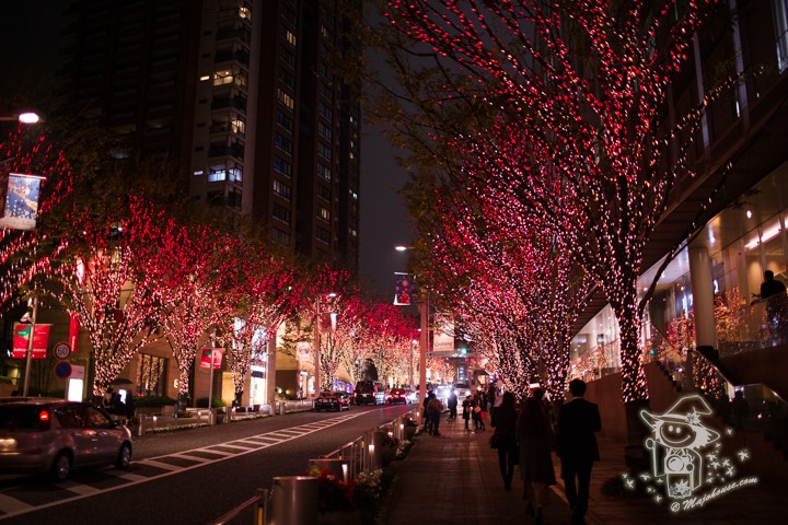 Majo Photograph Majo Photograph