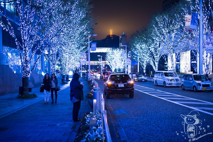 Majo Photograph Majo Photograph