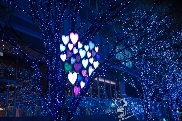 Majo Photograph Majo Photograph