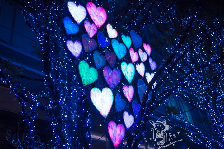 Majo Photograph Majo Photograph