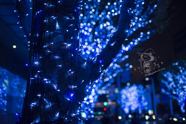 Majo Photograph Majo Photograph