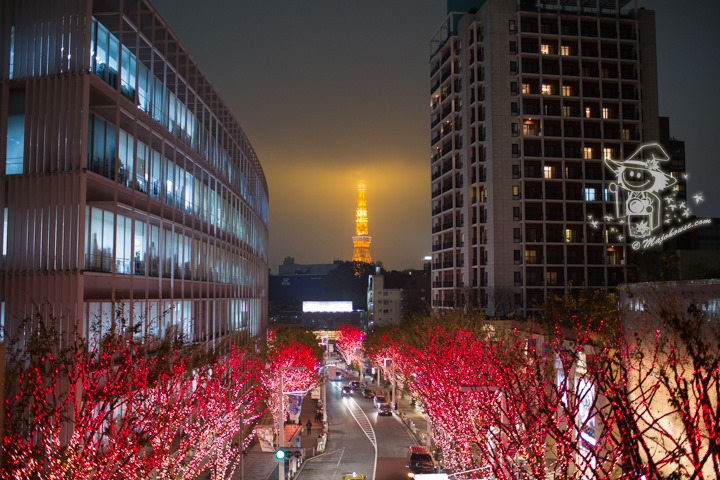 Majo Photograph Majo Photograph