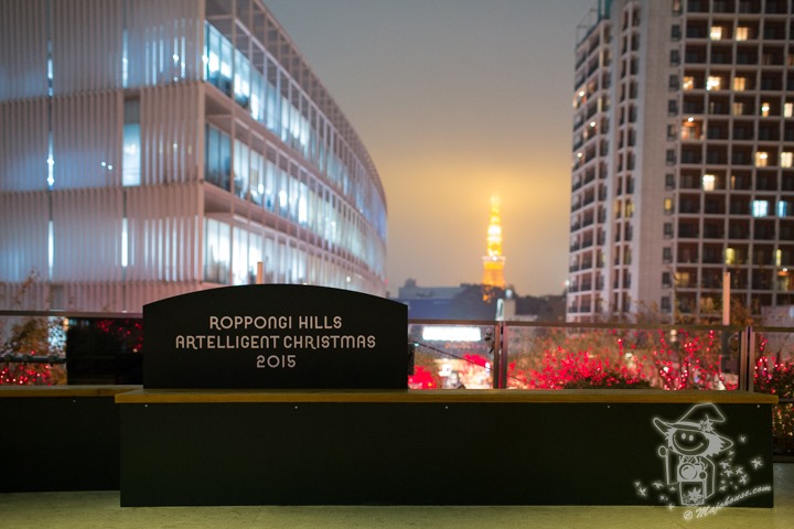 Majo Photograph Majo Photograph