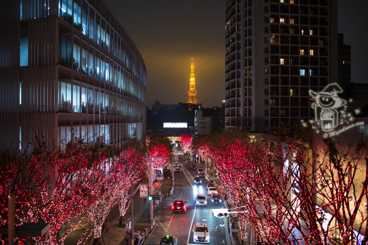 Majo Photograph Majo Photograph