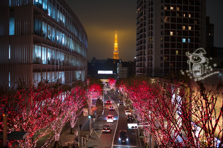 Majo Photograph Majo Photograph