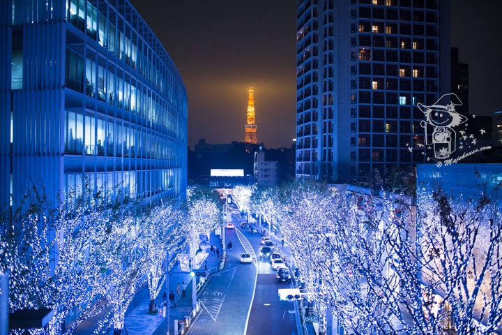 Majo Photograph Majo Photograph