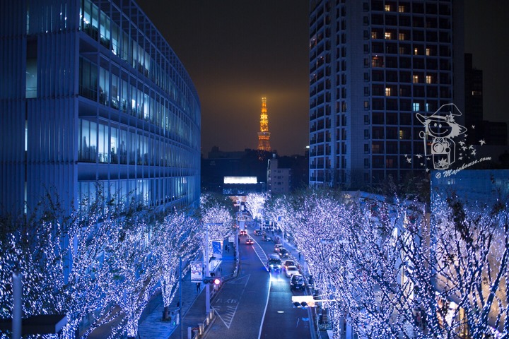 Majo Photograph Majo Photograph