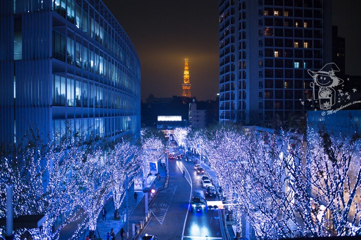 Majo Photograph Majo Photograph