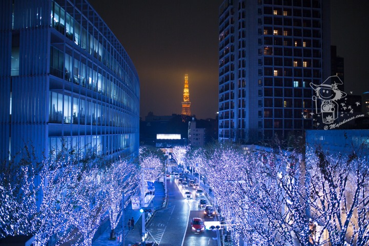 Majo Photograph Majo Photograph