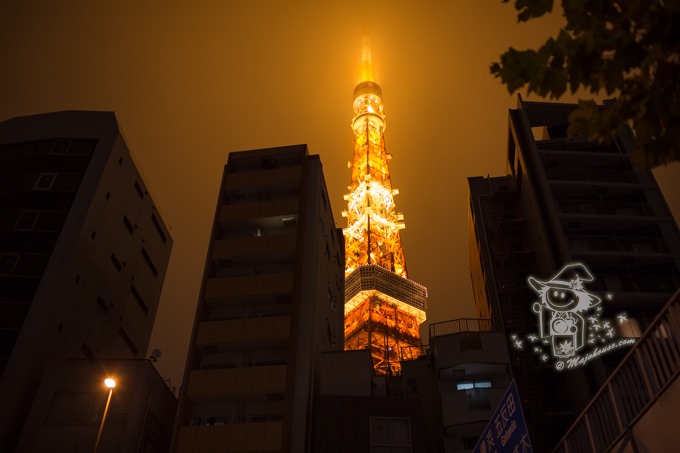 Majo Photograph Majo Photograph