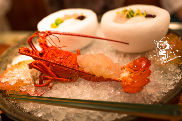 Majo Photograph Majo Photograph