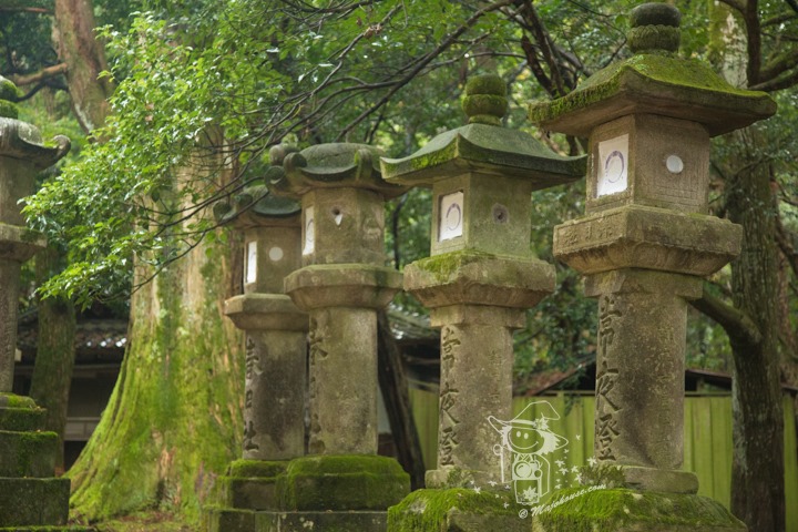 Majo Photograph Majo Photograph