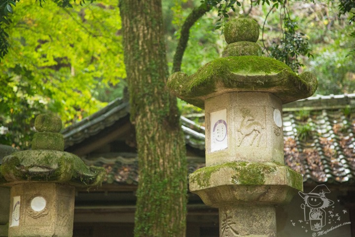 Majo Photograph Majo Photograph