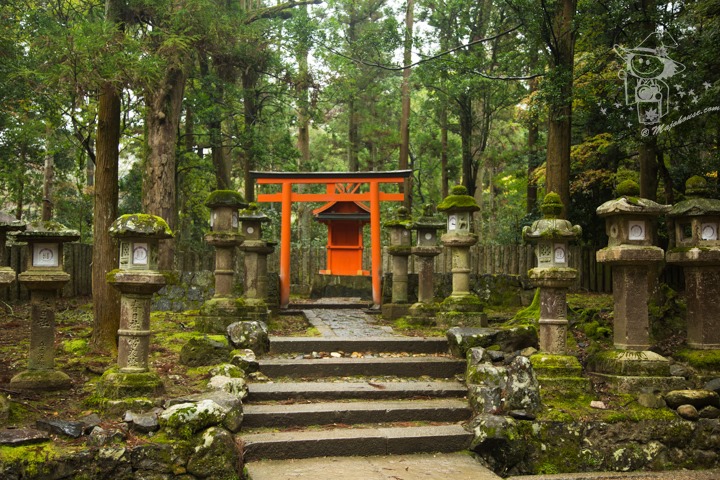 Majo Photograph Majo Photograph