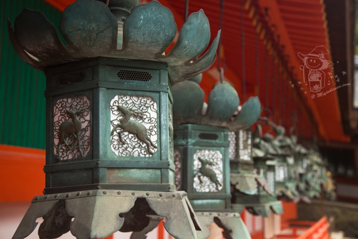 Majo Photograph Majo Photograph