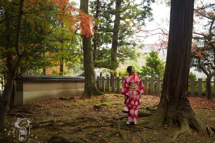 Majo Photograph Majo Photograph