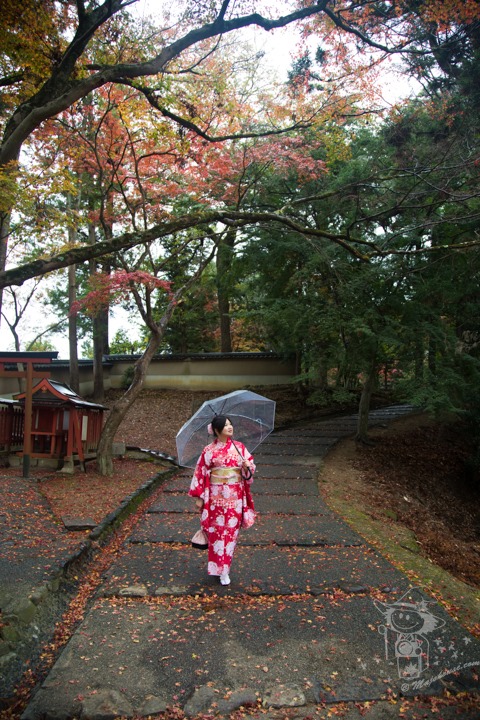 Majo Photograph Majo Photograph