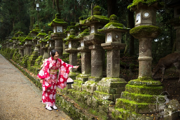 Majo Photograph Majo Photograph