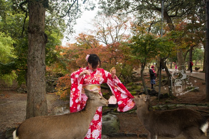 Majo Photograph Majo Photograph