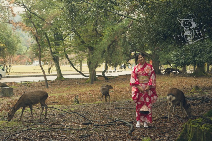 Majo Photograph Majo Photograph