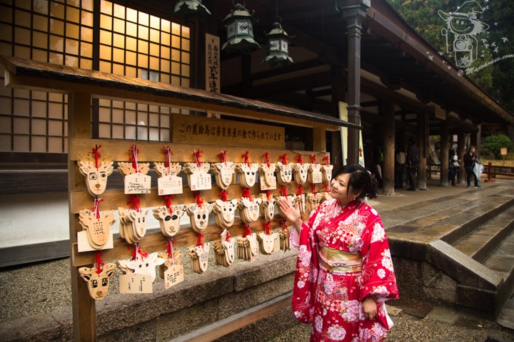 Majo Photograph Majo Photograph