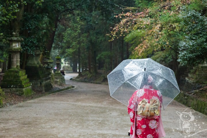 Majo Photograph Majo Photograph