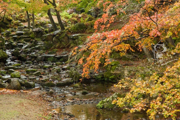 Majo Photograph Majo Photograph