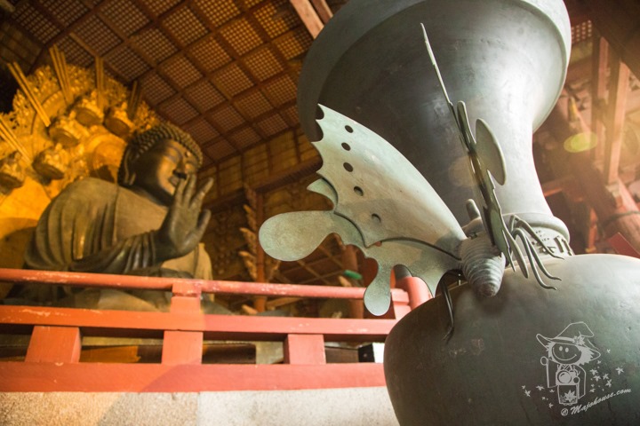 Majo Photograph Majo Photograph